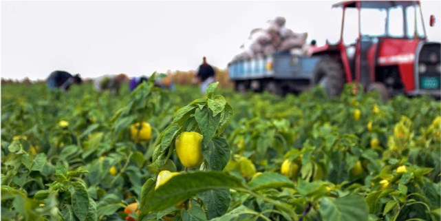 办公用品销售团队的客户关系图，老师傅教你